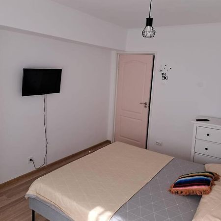 Apartament Titulescu/Banu Manta Διαμέρισμα Βουκουρέστι Εξωτερικό φωτογραφία