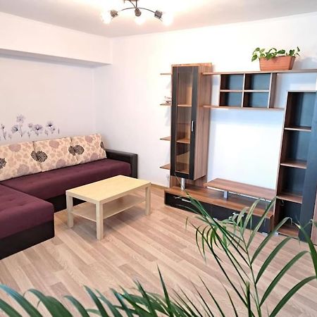 Apartament Titulescu/Banu Manta Διαμέρισμα Βουκουρέστι Εξωτερικό φωτογραφία