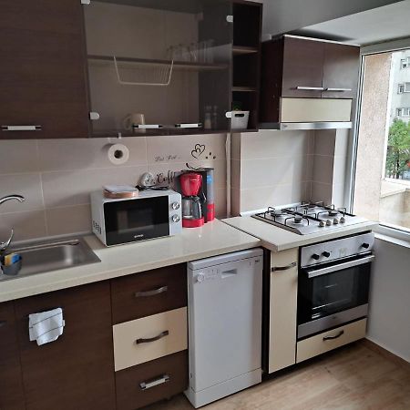 Apartament Titulescu/Banu Manta Διαμέρισμα Βουκουρέστι Εξωτερικό φωτογραφία